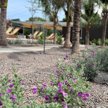 Wanderlust Garden Inn Муйне Экстерьер фото